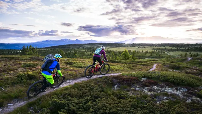 Norwegian classic MTB trail